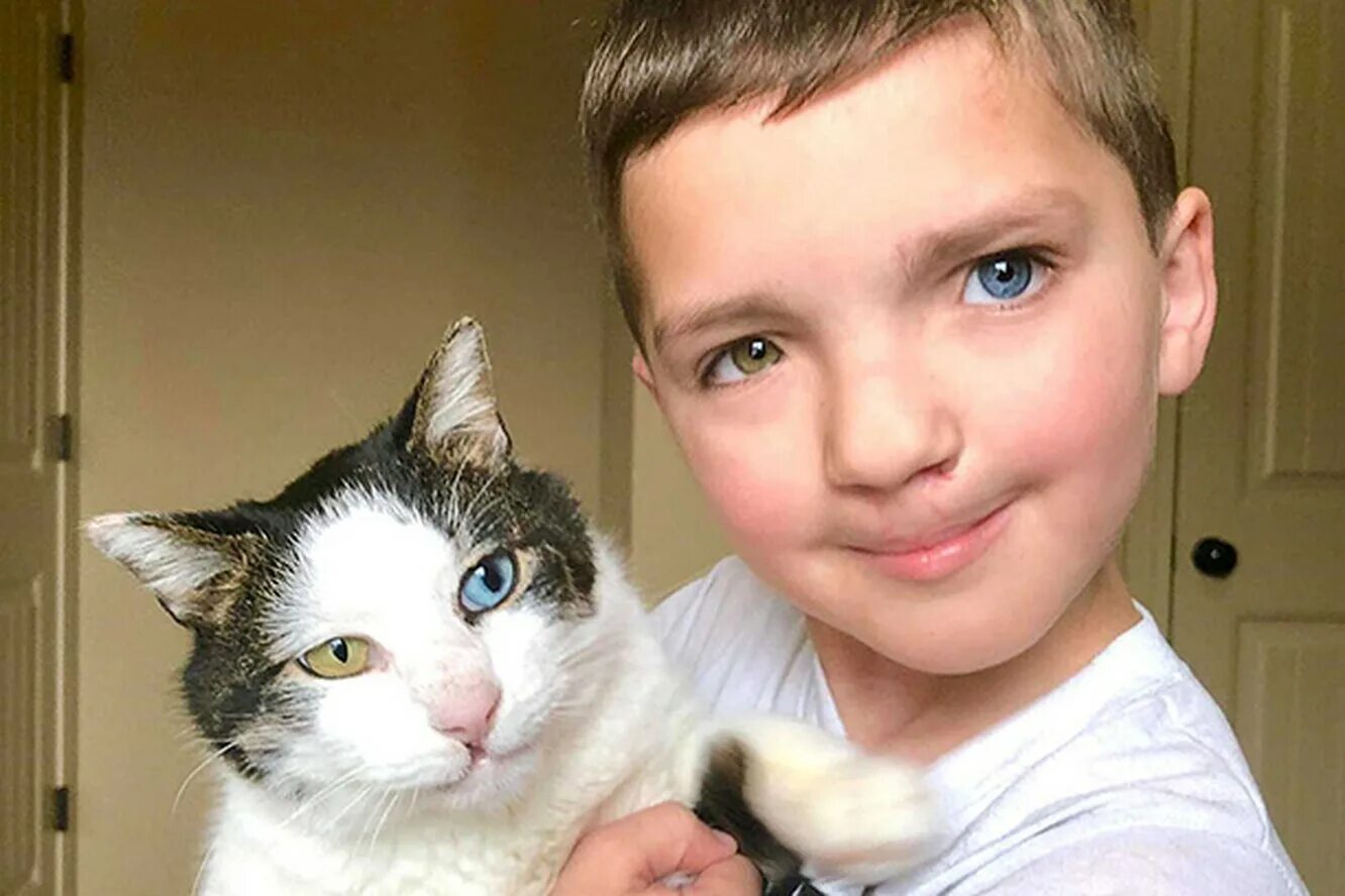 Мальчик нашел кота