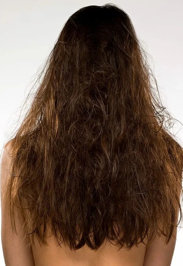 выпадение волос. сухие волосы. поврежденные волосы. длинные сухие волосы. проблемные волосы.