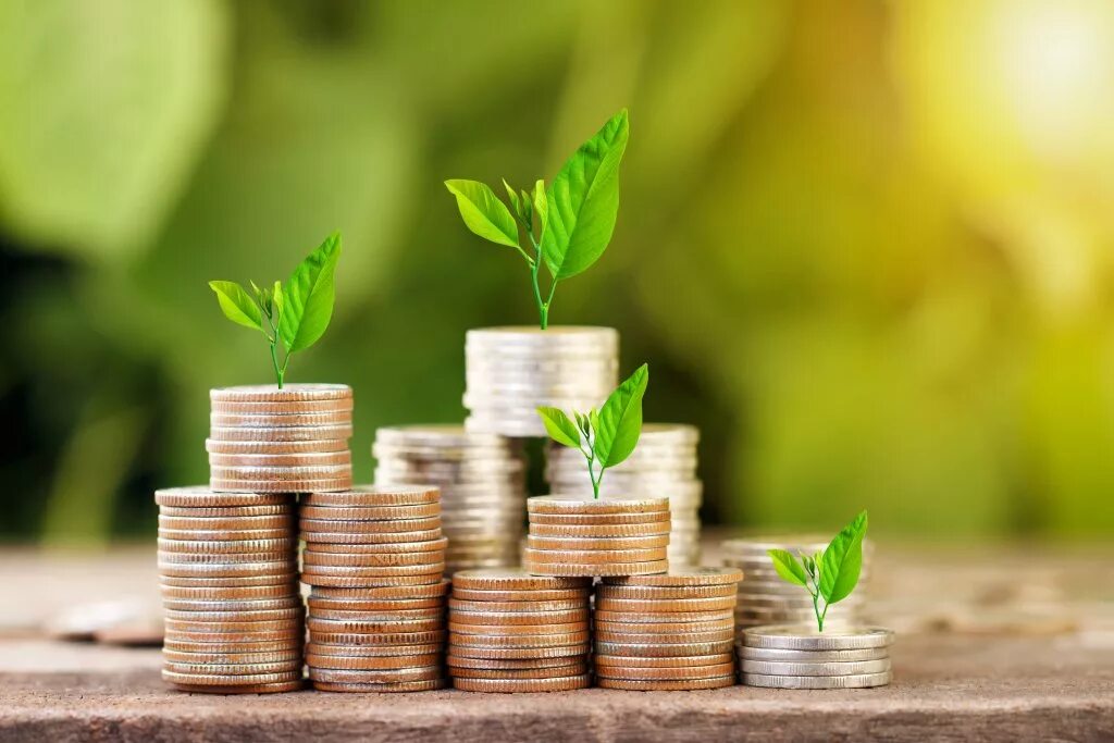 Льготные деньги