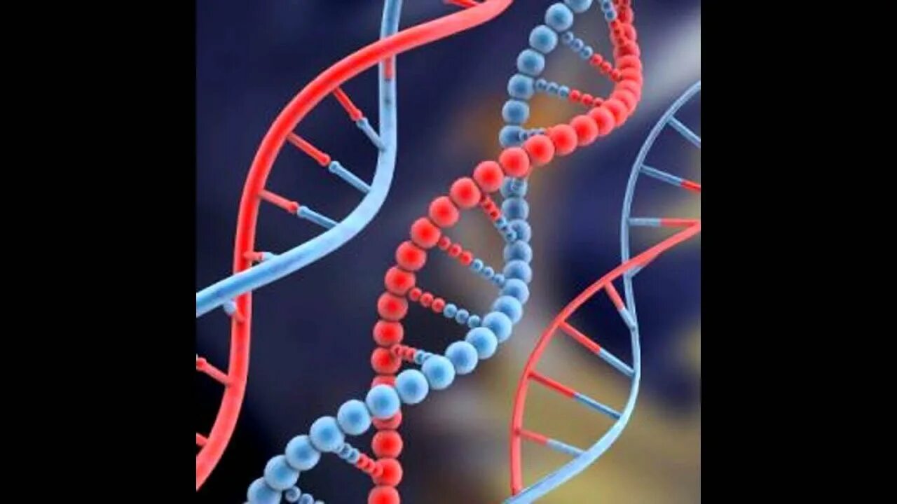 Репликация днк. Правозакрученная спираль днк. Днк в яйцо. O dna. O dna.