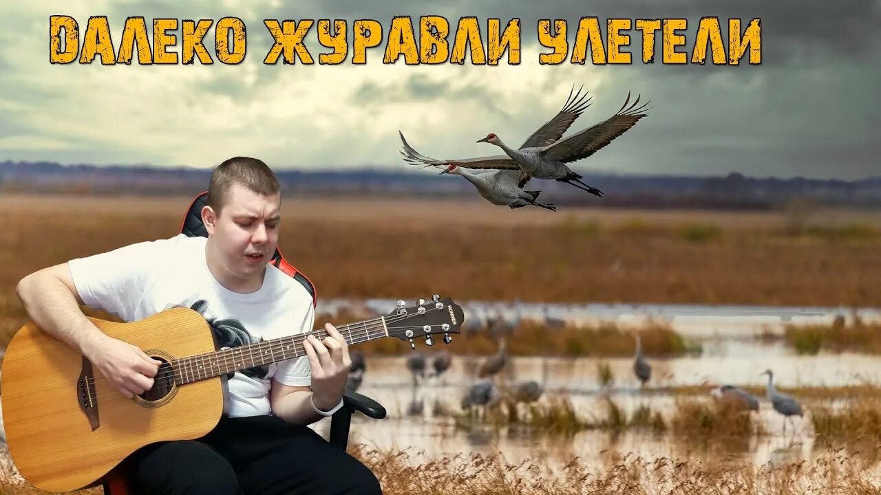 Далеко далеко далеко далеко Журавли улетели. Далеко-далеко Журавли улетели песня. Далеко Журавли улетели под гитару. Цыган - далеко далеко Журавли улетели.