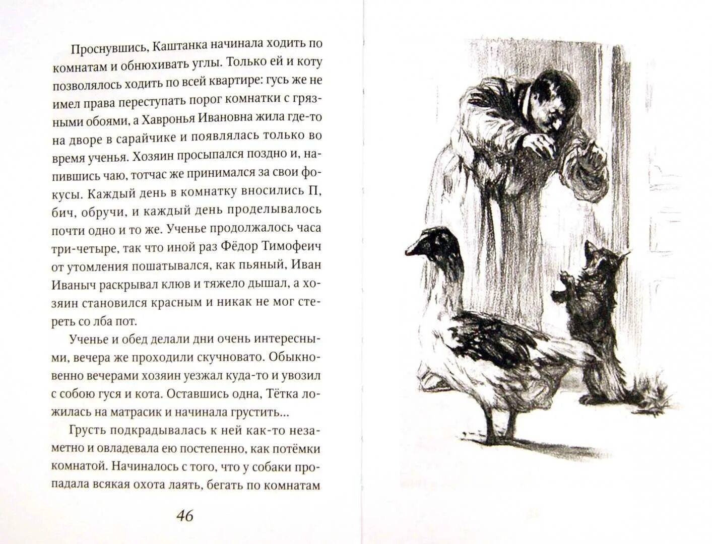 Рассказ а п Чехова каштанка. Рассказ Антона Павловича Чехова каштанка. А П Чехов каштанка краткий пересказ.