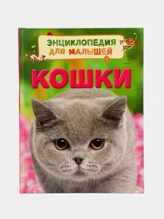Детская энциклопедия кошки