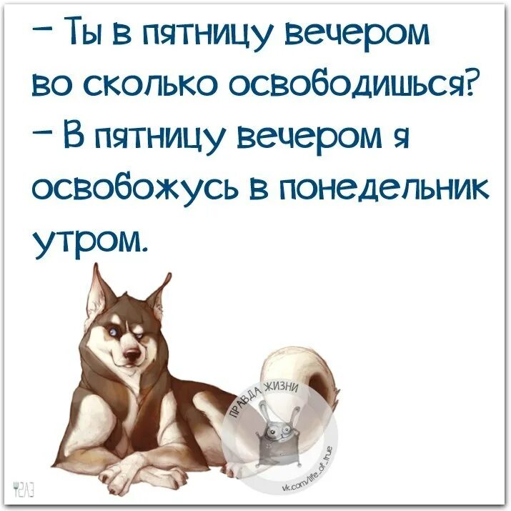 А я хочу пятницу