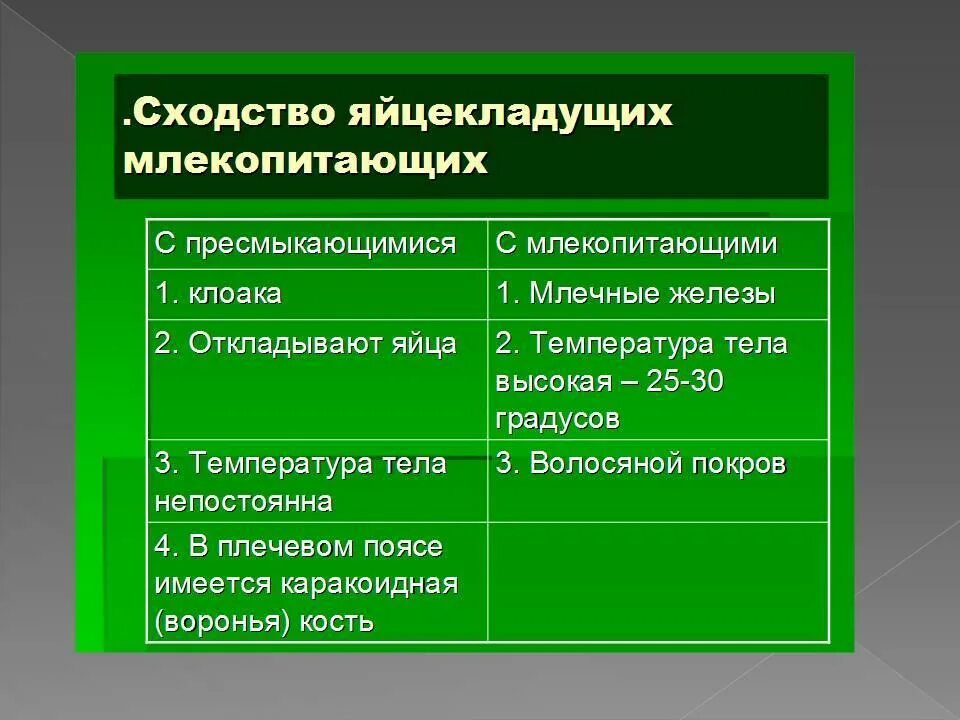 Характеристики пресмыкающихся и млекопитающих таблица. Сходства млекопитающих и пресмыкающихся. Сходство млекопитающих с пресмыкающимися. Сходства первозверей и пресмыкающихся. Общая характеристика яца кладушых.