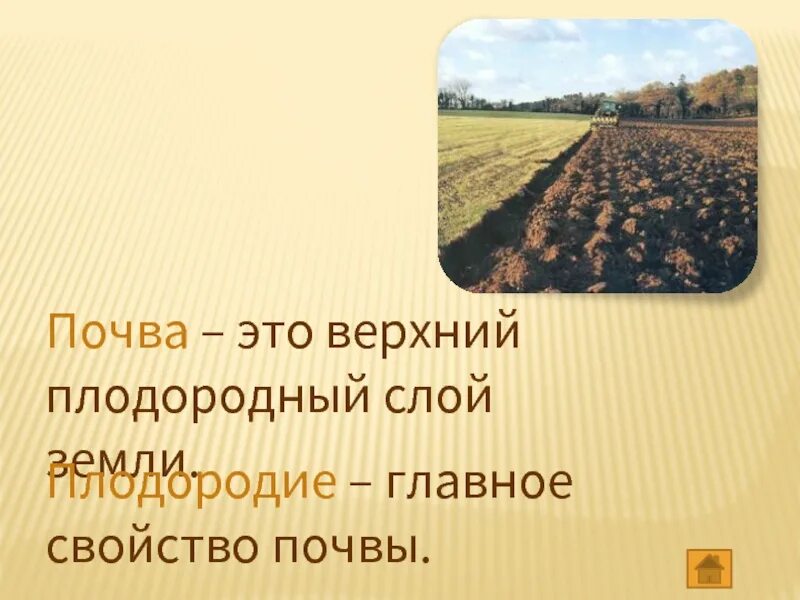 Главное свойство почвы. Плодородный слой почвы. Почва плодородный слой земли. Верхний плодородный слой земли. Плодородие это свойство почвы которое