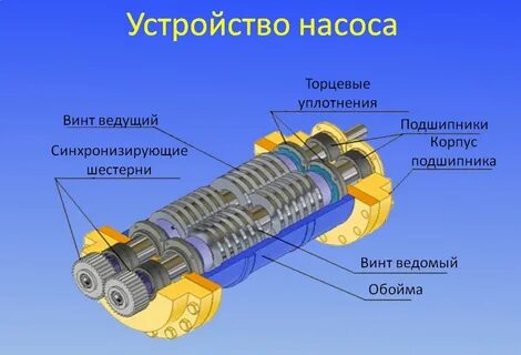 Как устроен ее