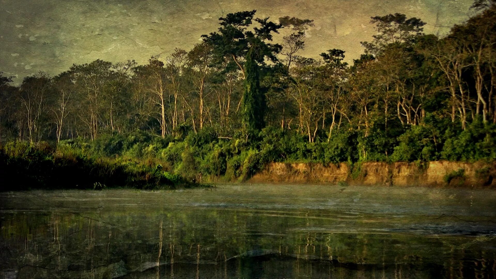 Тропическое болото. Болото Манчак. Национальный парк Читван Непал. Пейзаж болото. Тропический лес живопись.