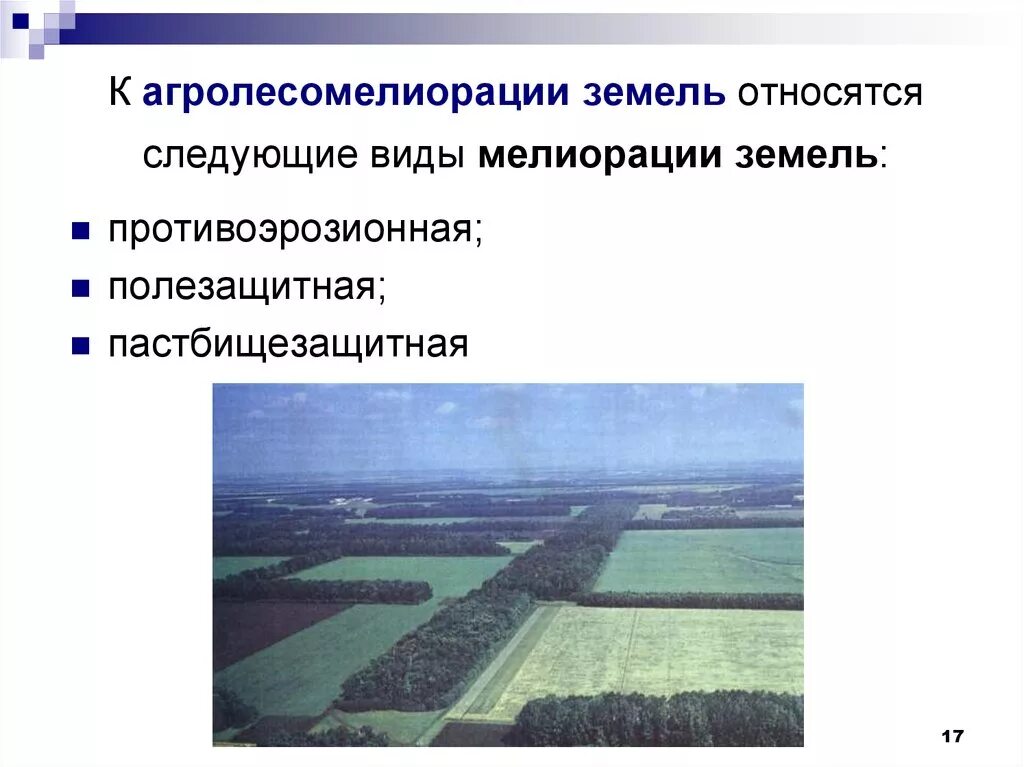 Рациональное природопользование рекультивация земель на месте карьеров