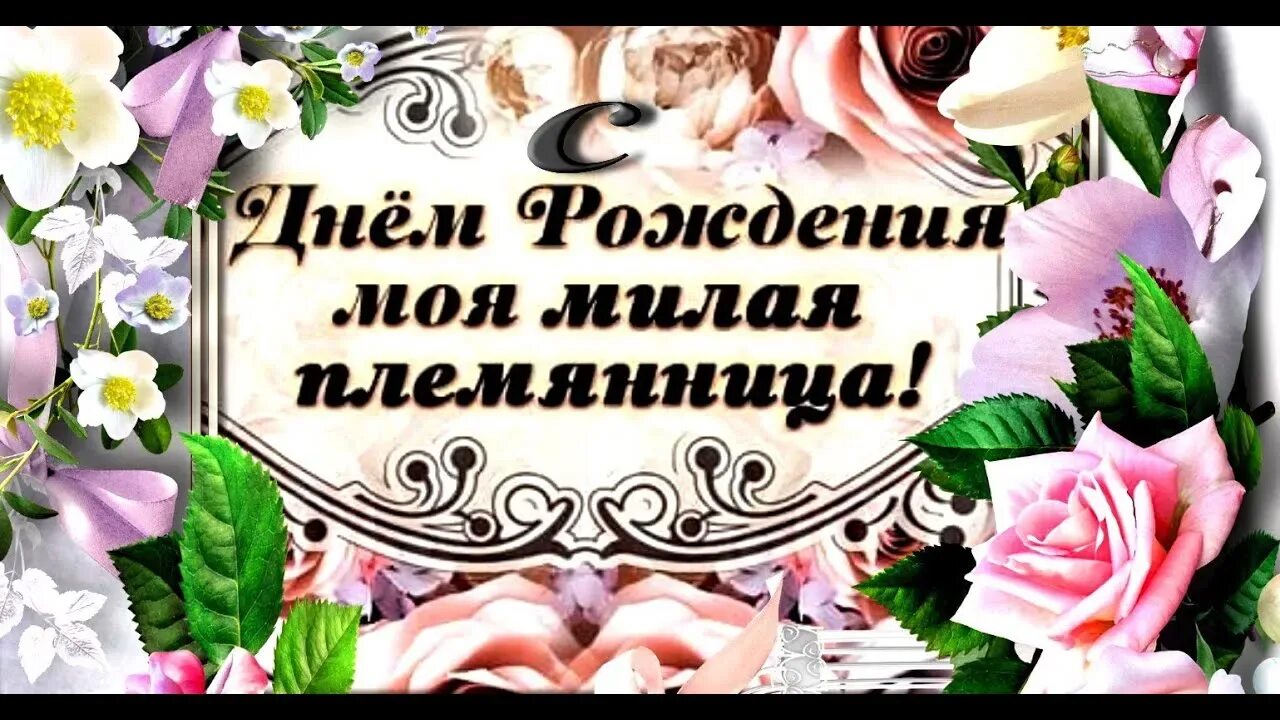 Поздравления с днём рождения племяннице. Поздравления с днём рождения плямннице. Красивые видео день рождения племянницы. С днём рождения поимянице. Красивые видео день рождения племянницы.