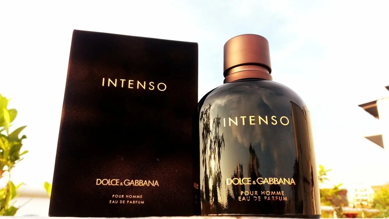 Дольче габбана хоме. Dolce Gabbana pour homme. Интенсо Дольче Габбана мужской. D&G pour homme intenso. Dolce Gabbana intense pour homme.