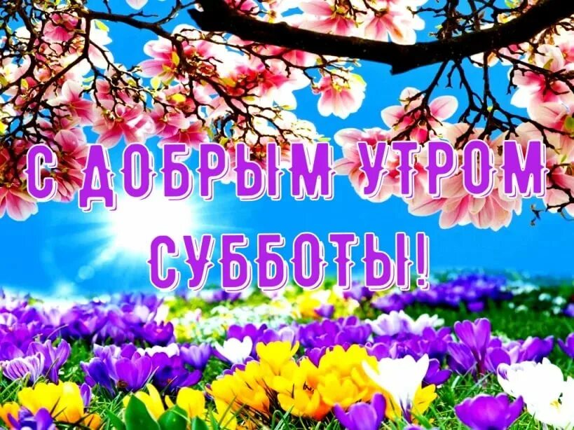 Доброе утро субботы 24 февраля. Пожелания с добрым субботним утром. С днём рождения зять. Доброго весеннего дня. Открытки с добрым субботним утром.