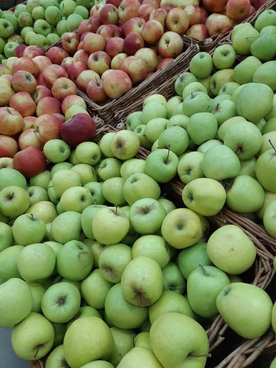 Маленькие яблоки. Длинные яблоки. Грузинские яблоки. Сорт маленьких яблок. Яблоня мелкая