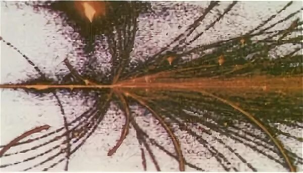 следы частиц в камере вильсона. камера вильсона треки. движение заряженных частиц в камере вильсона. альфа частицы в камере вильсона. как обнаружить элементарную частицу 9 класс.