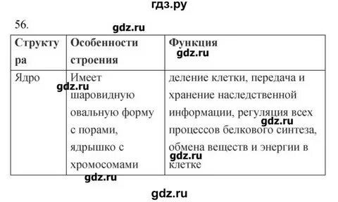 Биология 9 класс параграф 39
