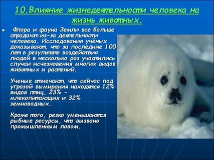 Воздействие человека на животных