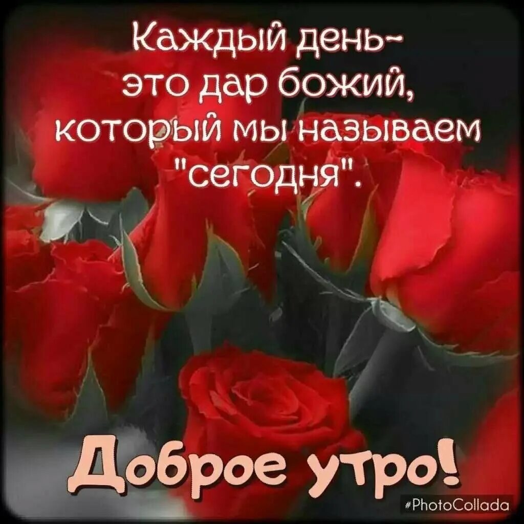 Доброе утро с божьей помощью картинки. Доброе утро благословенного дня. христианские пожелания с добрым утром. доброго благословенного утра и хорошего дня. пожелания доброго утра с божьей помощью.