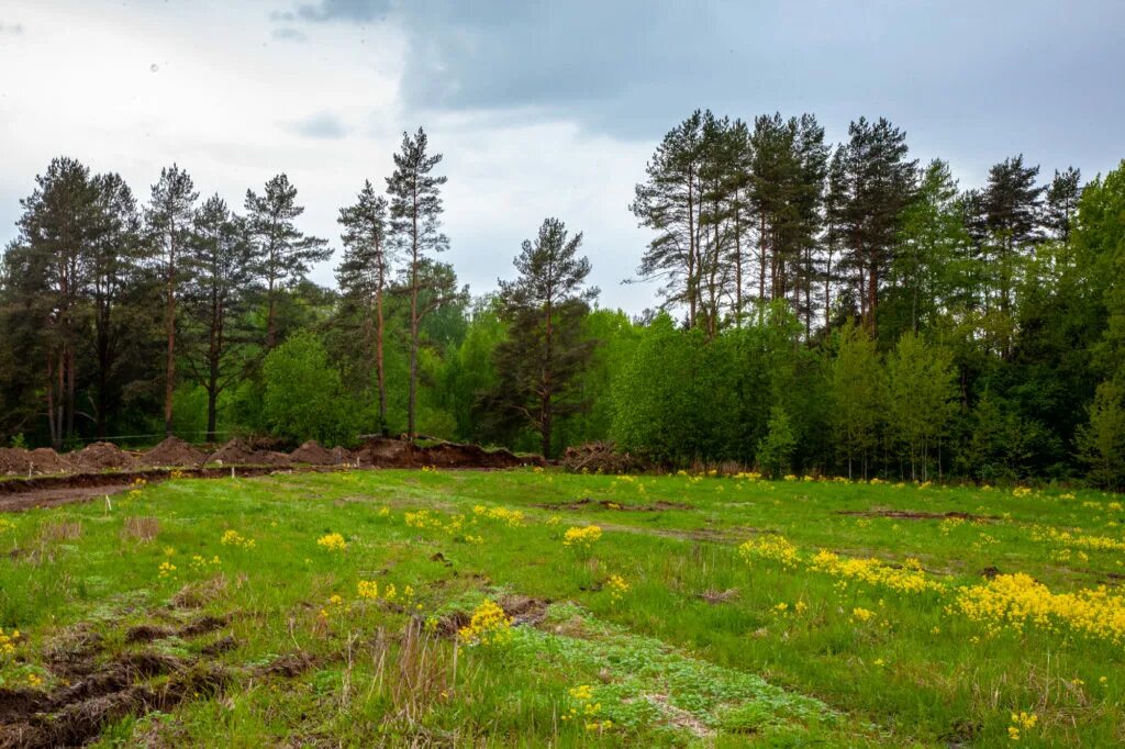 Левашово пустошь. Участки под ижс в петербурге. Купить участок земли в спб. Земельные участки по сарапульскому тракту. Речное раздолье д радищево чудовского района.
