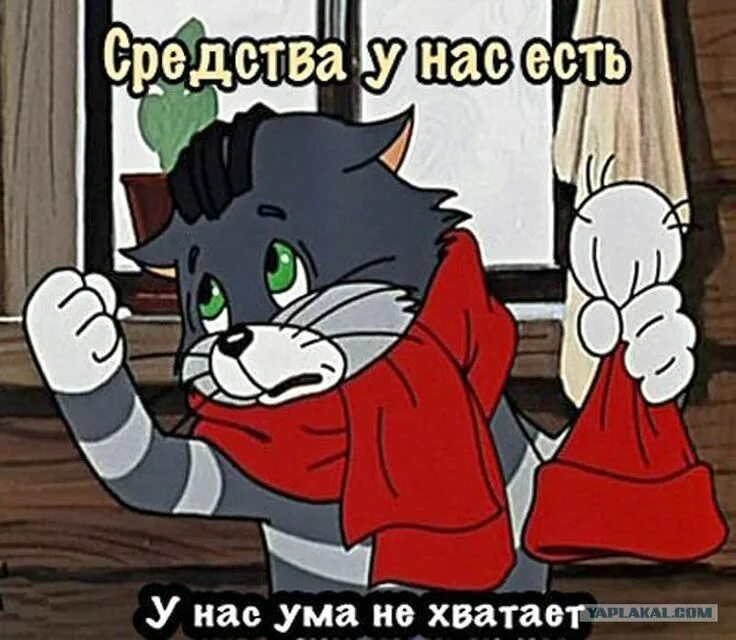 Средства у нас есть у нас ума. У нас ума не хватает. средства у нас есть у нас ума не хватает кот матроскин. средства у нас есть. средства у нас есть ума не хватает.