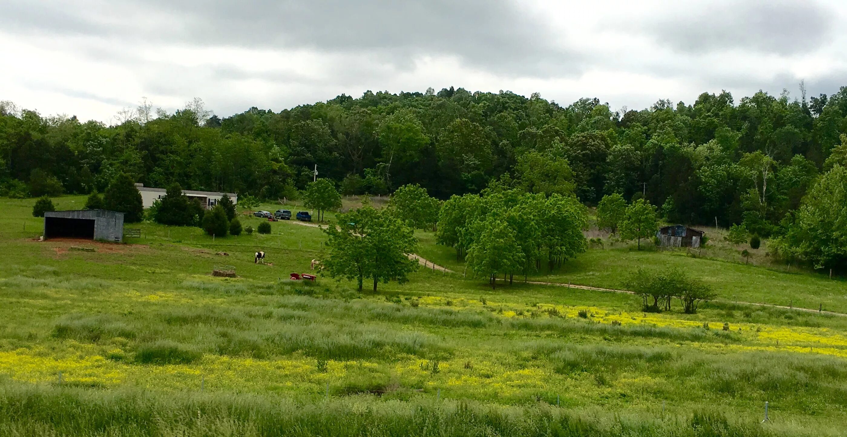 Countryside гайд. Кентуки. Kentucky countryside.