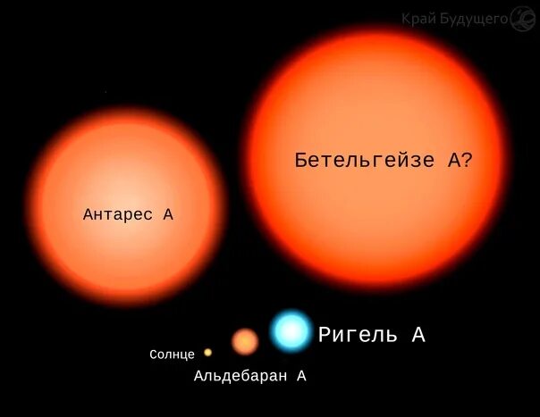 Солнце Сириус Альдебаран Бетельгейзе. Красный гигант звезда Бетельгейзе. Звезда Бетельгейзе и солнце. Бетельгейзе звезда и солнце сравнение.