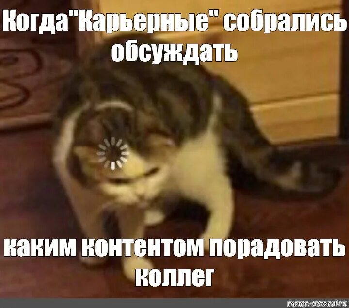 Мем кот с загрузкой Pin en Memessss