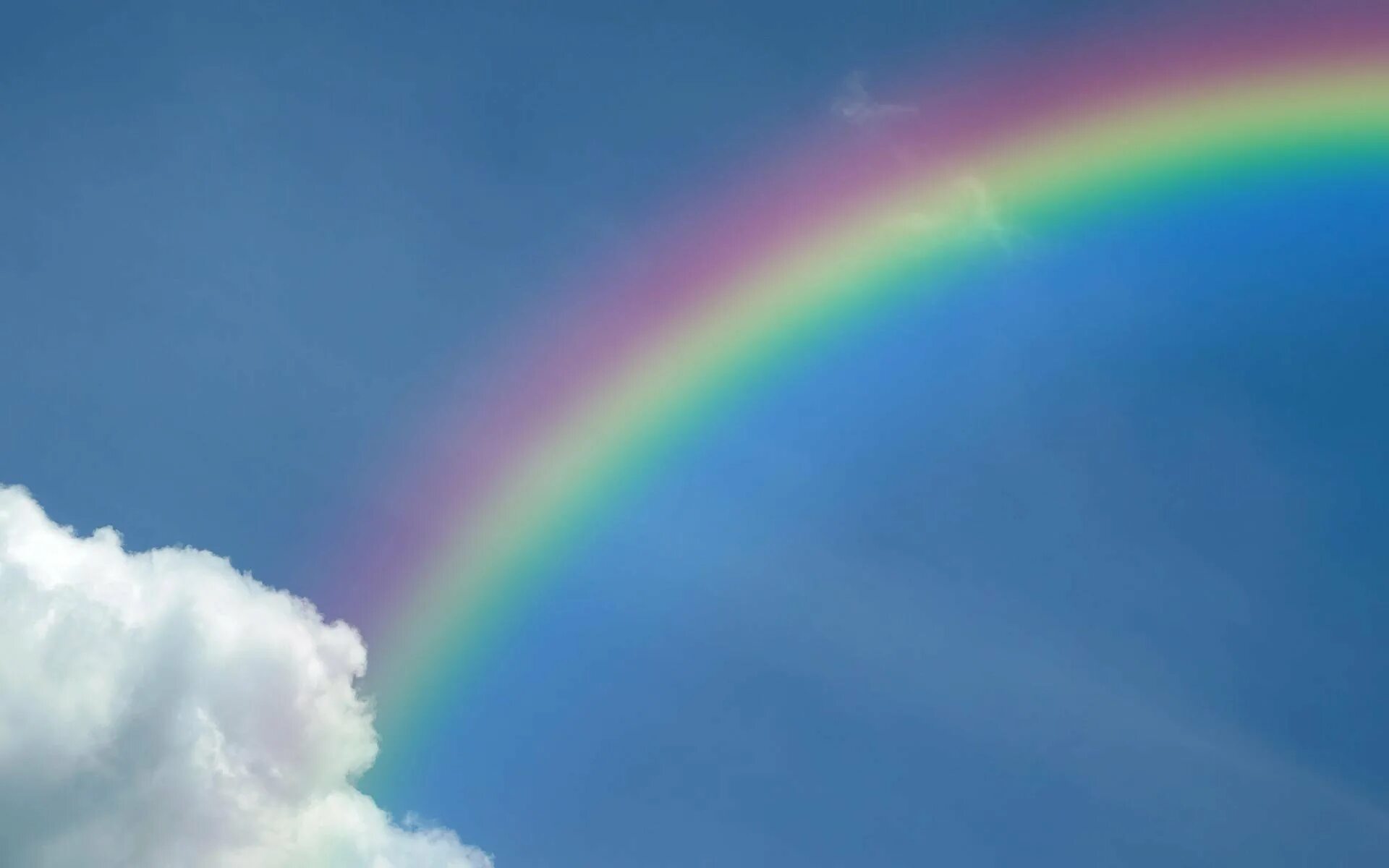 Фон для рабочего стола радуга. Черно радужные обои. Радужные обои. Яркий градиент. Обои на телефон радуга.