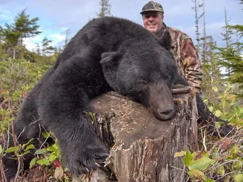 Мужчина с ружьем. Охотовед. Самый слабый охотник. Охотники за головами феоктистов. Фото охотников.
