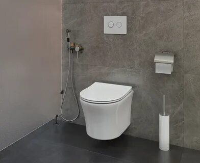 Ceruttispa bernina