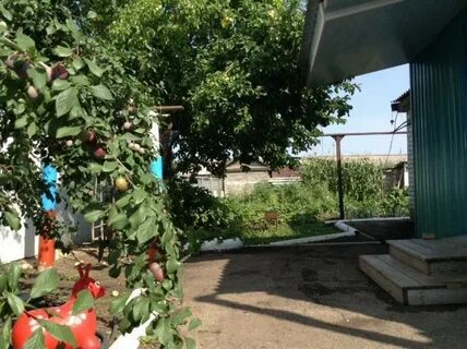 Мокроусе погода саратовской рп5 федоровского