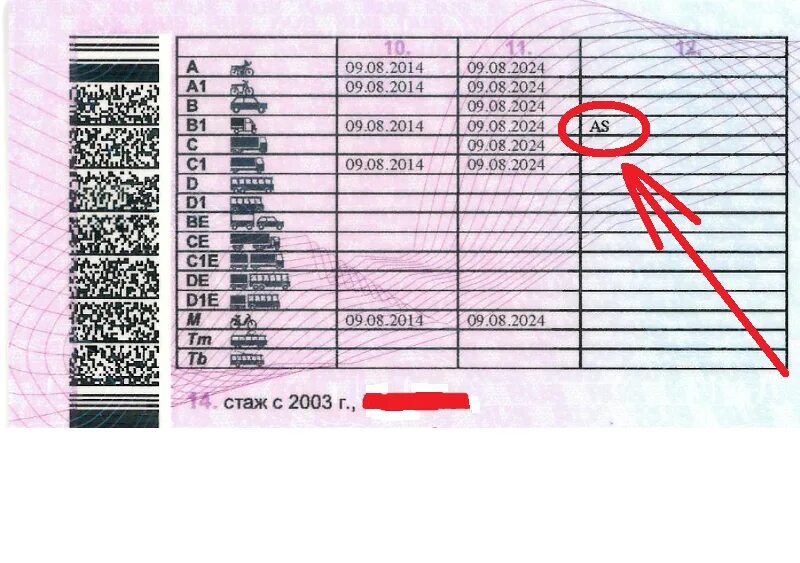Категории в правах расшифровка 2024. Категория б1 as водительских прав. Категории водительских прав с расшифровкой в1 as. Категории водительских прав с расшифровкой в и в1.