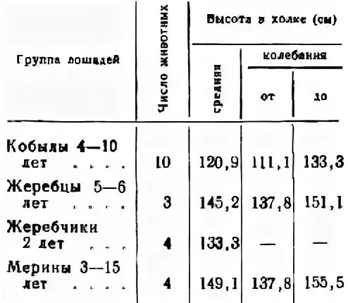 Рост лошади в холке таблица Лошадь по английски перевод
