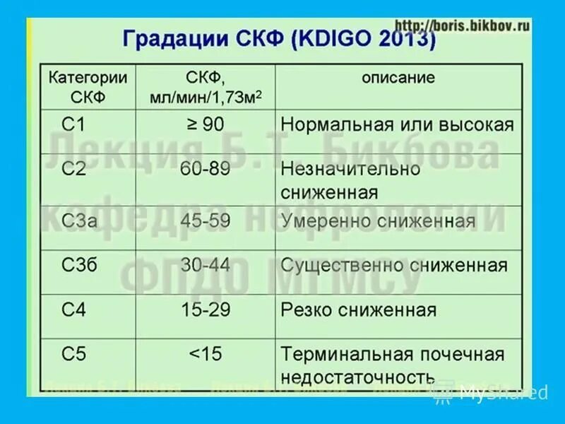 Скорость клубочковой фильтрации норма. Норма скорость клубочковой фильтрации в крови норма. Скорость клубочковой фильтрации почек норма. Скорость клубочковой фильтрации норма у мужчин. Хбп ckd epi