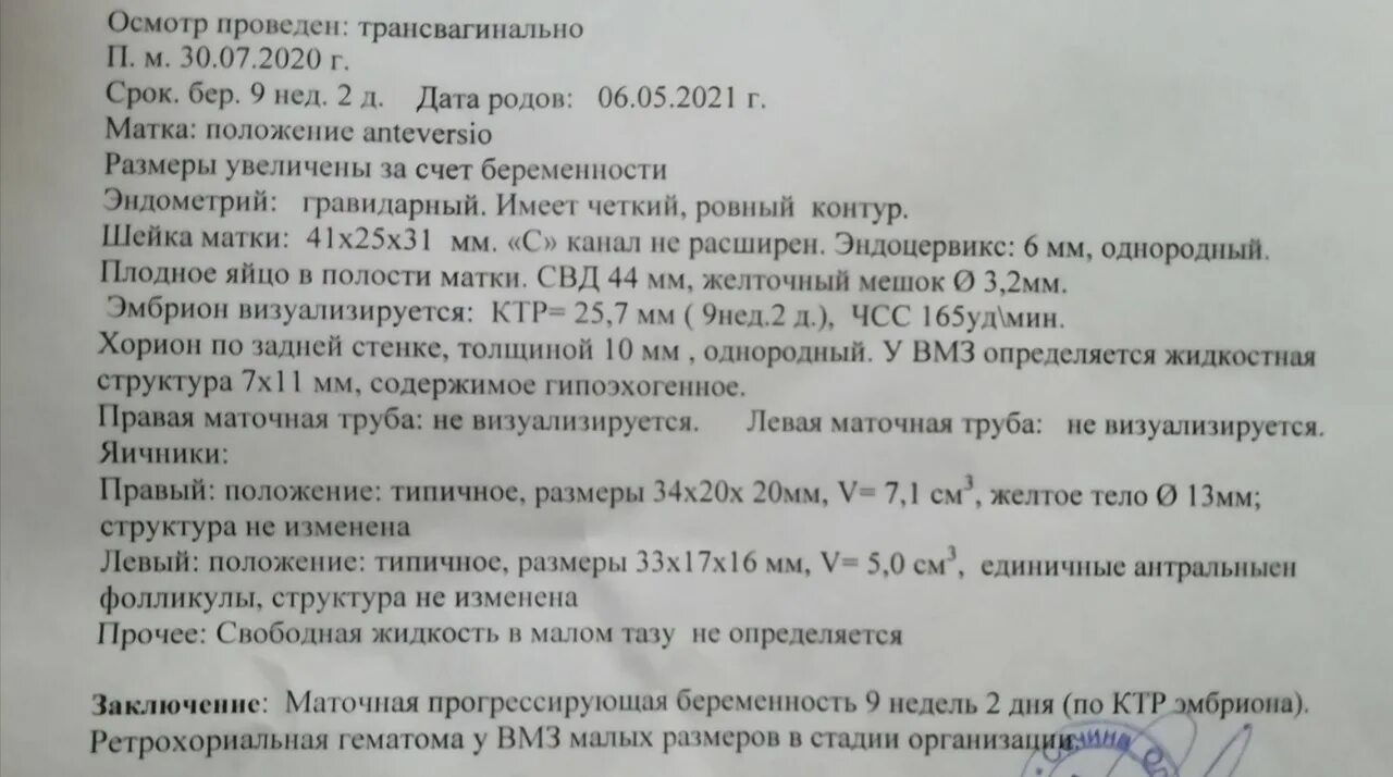 Желточный мешок при беременности размеры по неделям. Желточный мешок норма в 7 недель. Желточный мешок при беременности размеры по неделям. Нормы желточного мешочка. Размер желточного мешочка норма.