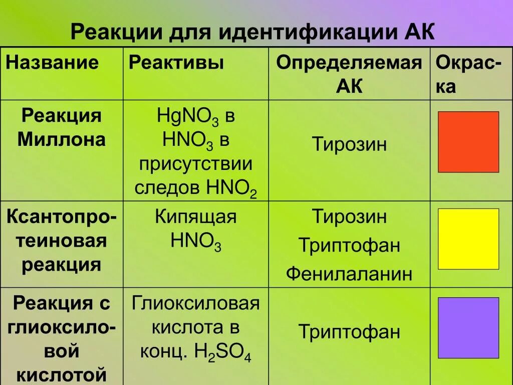 Цветные качественные реакции на белки. Цветовые реакции на белки. Качественные реакции белков таблица. Качественные реакции на белки таблица. Белки характерные реакции