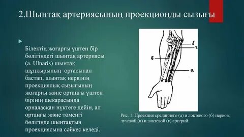 Үйде жасалған анамның есек жасырын камерасы