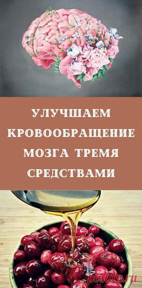 Продукты полезные для памяти. Полезные продукты для мозга и памяти. Продукты для питания мозга. Какие продукты полезны для сердца. Продукты питания для головного мозга.