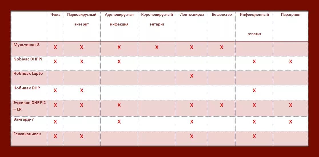 Схема прививки собак мультиканом. Схема вакцинации мультикан для собак щенков. Мультикан прививка схема вакцинации. Схема прививок мультикам для собак. Мультикам вакцина