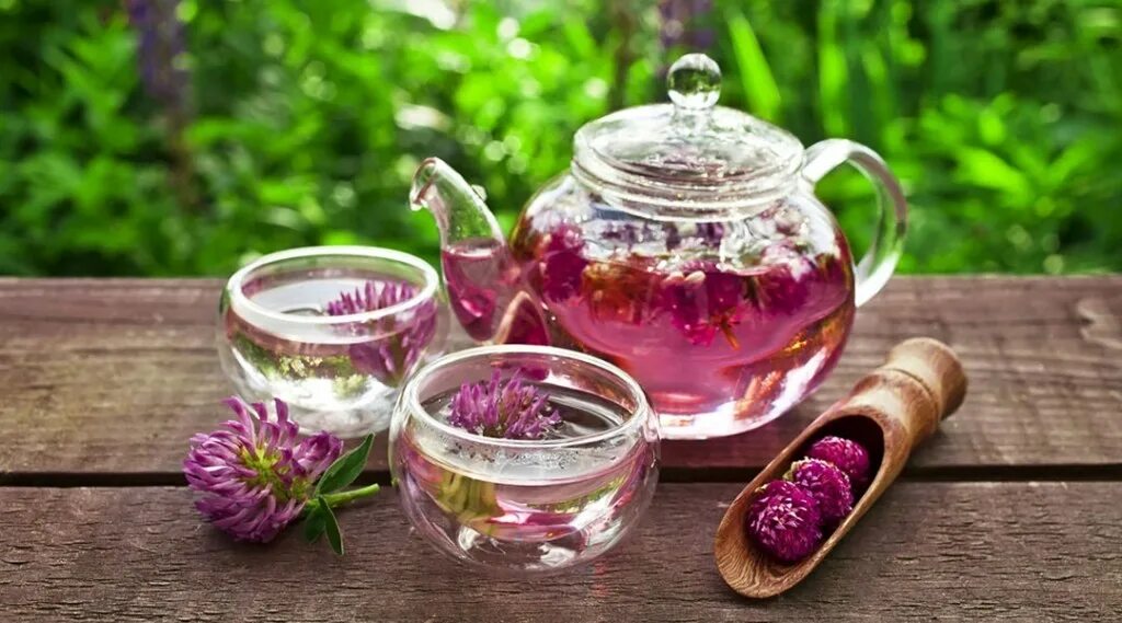 Растения для заварки. Чай из трав. Травяные, цветочные и ягодные чаи. Чай с травами. Красивый травяной чай.