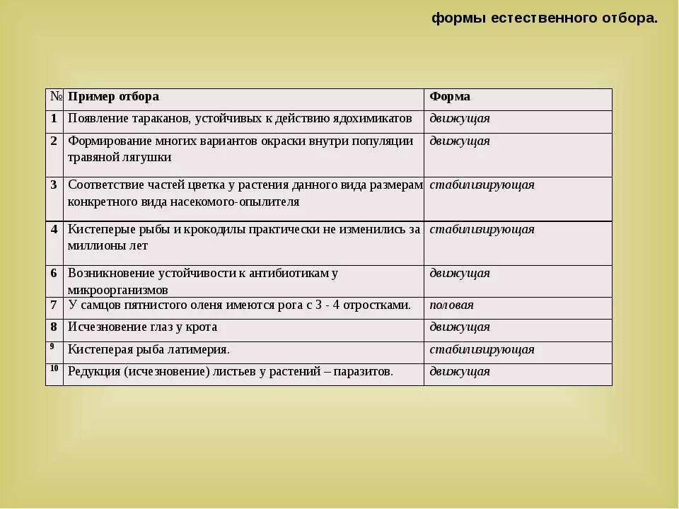 Таблица естественный отбор 9 класс биология. Формы естественного отбора таблица по биологии 11 класс таблица. Таблица формы отбора биология 9 класс. Формы естественного отбора 11 класс биология. Характеристика видов естественного отбора.