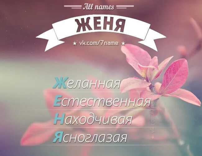 Клички жене. All names Женя. Имя Женя. Имя Женя женское. Эстетика имени Женя девочка.