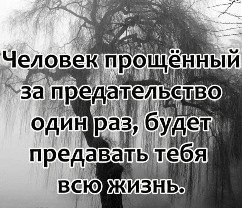 Извините нельзя. Невозможно простить предательство. Нельзя прощать предателей. Прощая человеку предательство. Раз прощенный за предательство один будет предавать.