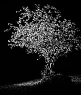 Holy Nature on Behance