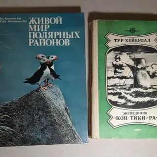 Книксы это