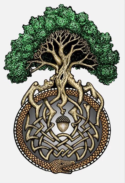 Дерево жизни дуб. Древо Иггдрасиль. Древо жизни кельтов у кельтов. Мировое Древо жизни Иггдрасиль. Уроборос и дерево жизни.