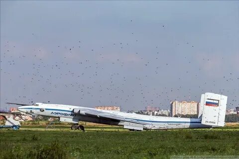 Самолет пушкино дом