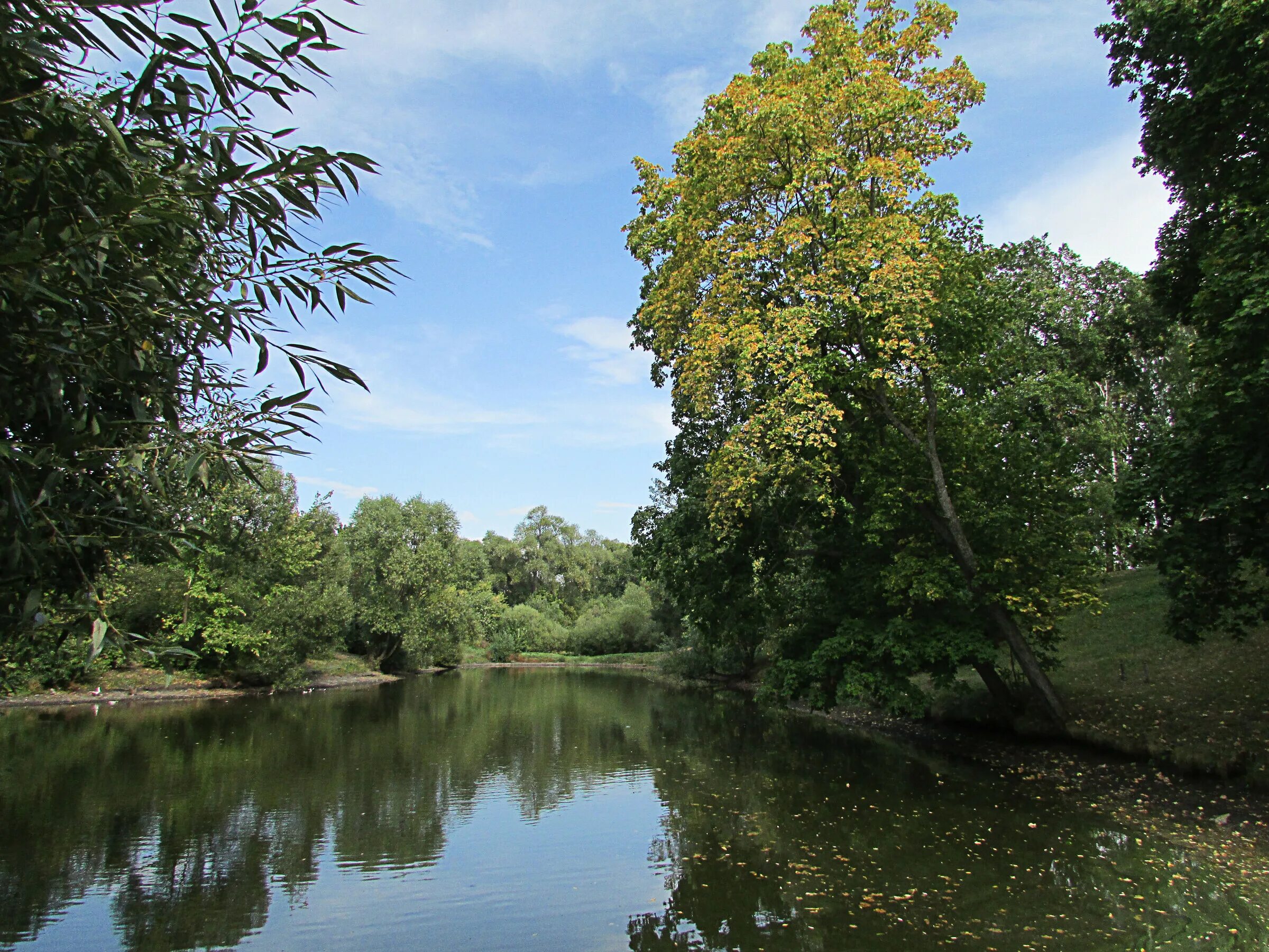 гдз по русскому языку 5 класс ладыженская 2 часть упр 729. оз среднесатыгинский туман. и вижу я себя ребенком лермонтов. астрахань фото природы. зеленой сетью трав подернут спящий пруд.