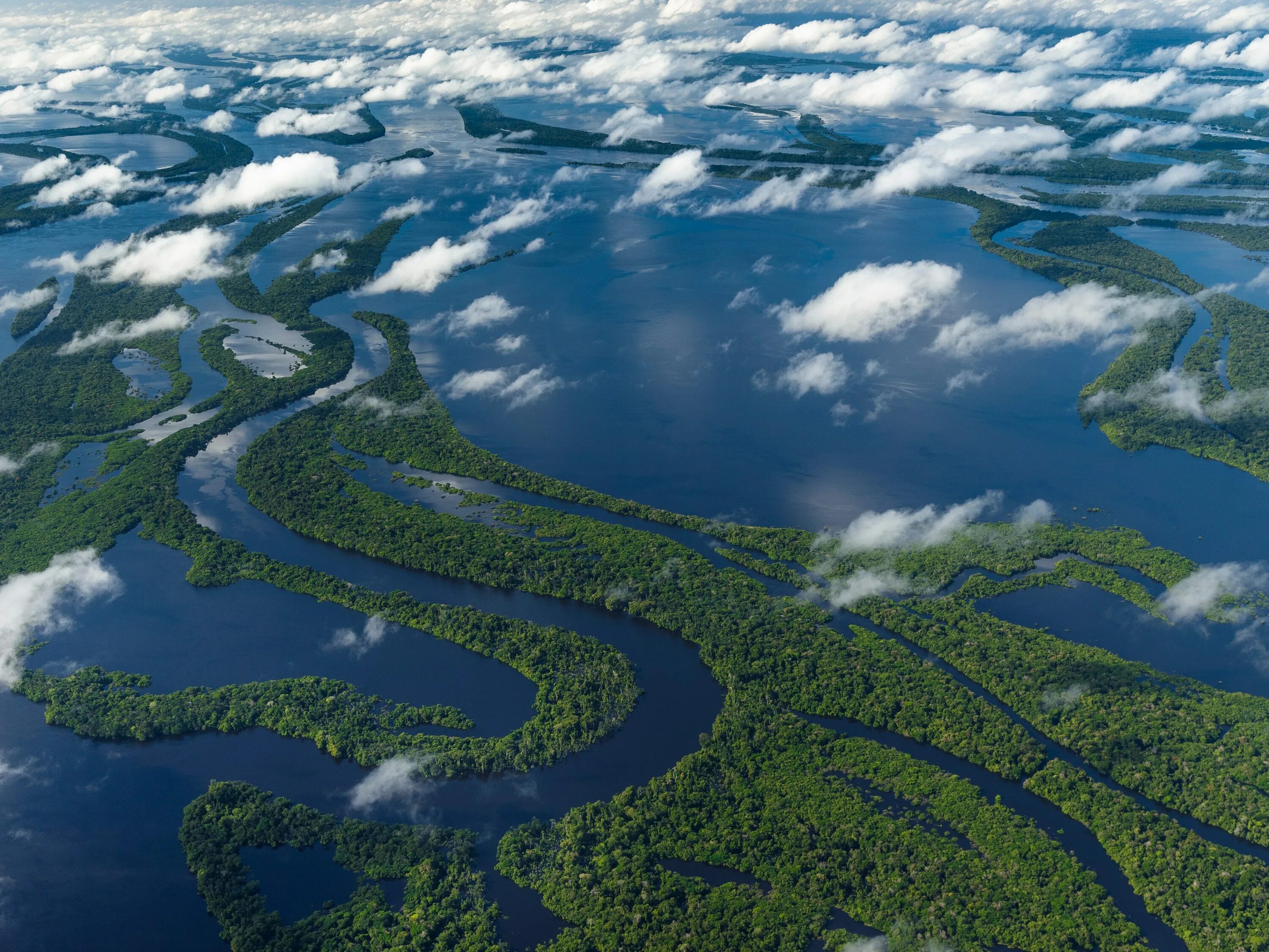 Полноводная река планеты. Река Амазонка. Река Маккензи Канада. Устье Миссисипи. Северная Америка река Амазонка.