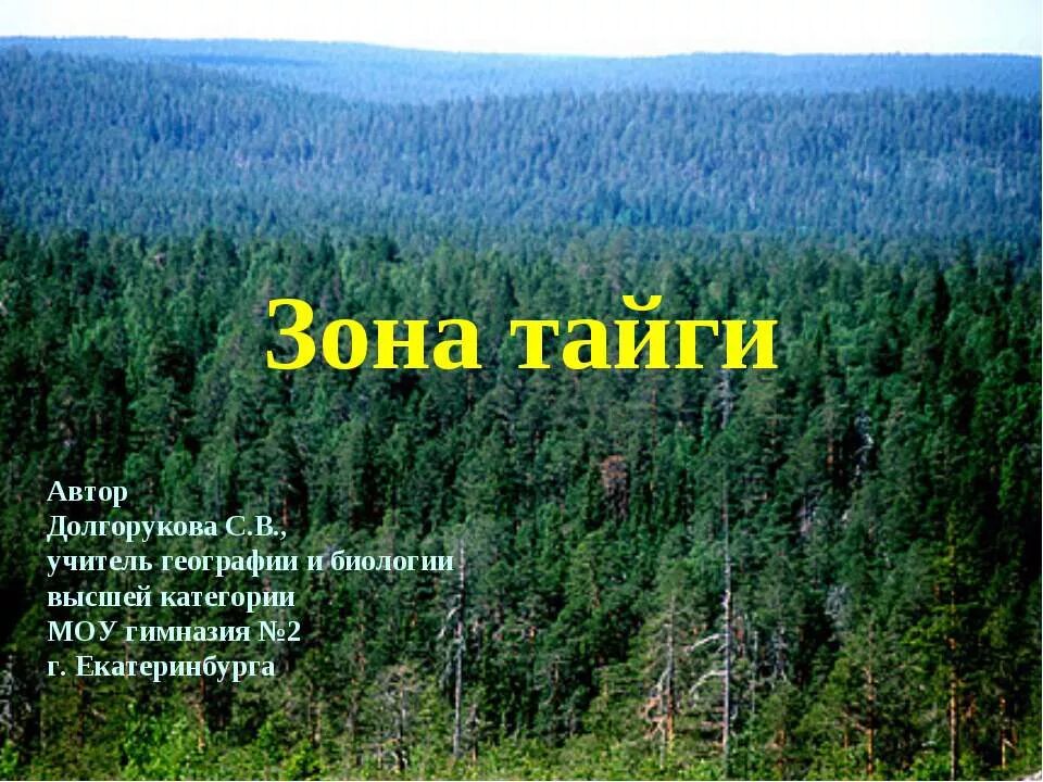 Презентация на тему тайга. Зона тайги. Тайга презентация. Тайга природная зона. Щона Тайти.