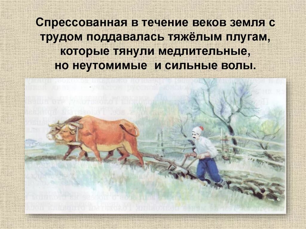 В течение столетий люди беспощадно охотились. Твои земляки труженики кубановедение 3 класс. Земляки труженики Кубани. Презентация на тему твои земляки труженики. Проект по кубановедению твои земляки труженики.